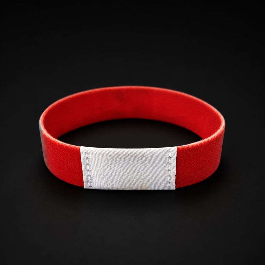 Pulsera